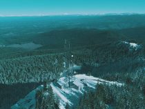 Unlocking Access to Towers on Public Land: Day Wireless Systems’ Expertise in Site Development on Federal Land